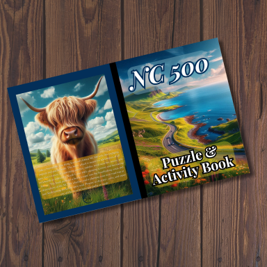 NC 500 Puzzle and Activity Book