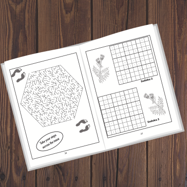 Mazes and Sudoku